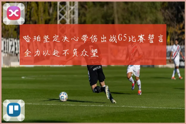哈珀坚定决心带伤出战G5比赛誓言全力以赴不负众望